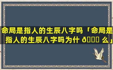 命局是指人的生辰八字吗「命局是指人的生辰八字吗为什 🐝 么」